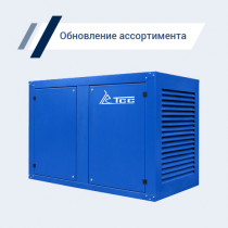 Расширен ассортимент ДГУ ТСС Стандарт