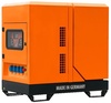 Электростанция RID RYS 6000 DE